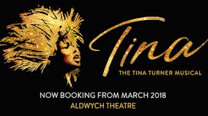 Tina Turners face in gold glitter
